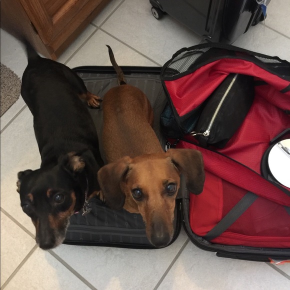 Meet your Posher, Jil - Picture 2 of 7